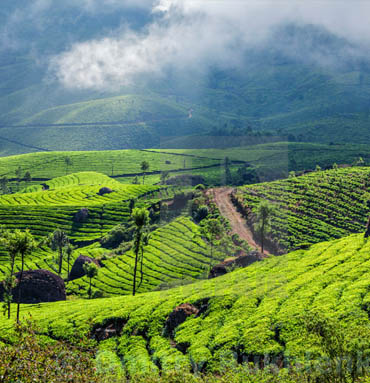 EXPERIENCE KERALA 